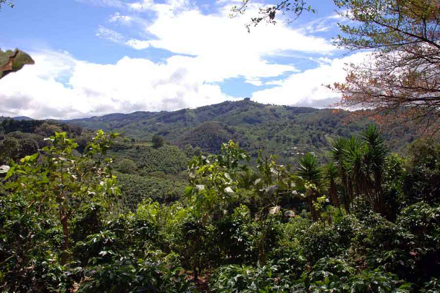 Landschaft in Costa Rica